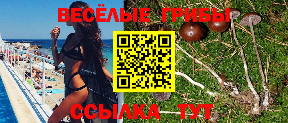 Галлюциногенные грибы мухоморы Джанкой